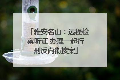 雅安名山：远程检察听证 办理一起行刑反向衔接案
